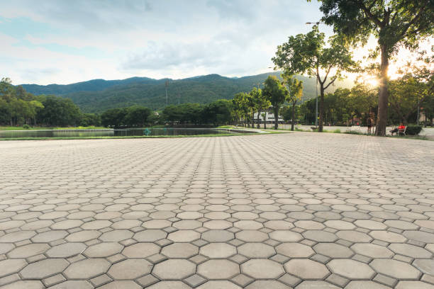 Best Professional Driveway Pavers  in Fort Loramie, OH